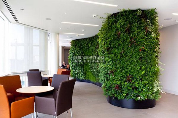 辦公室裝修完以后擺放什么綠植好？